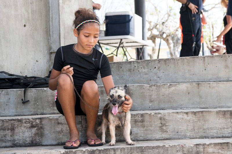a girl sits on steps with her dog