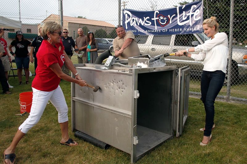 people smashing a gas chamber at an event