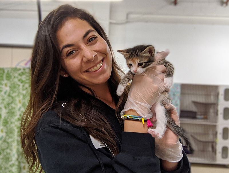 Photo of a woman holding a kitten.