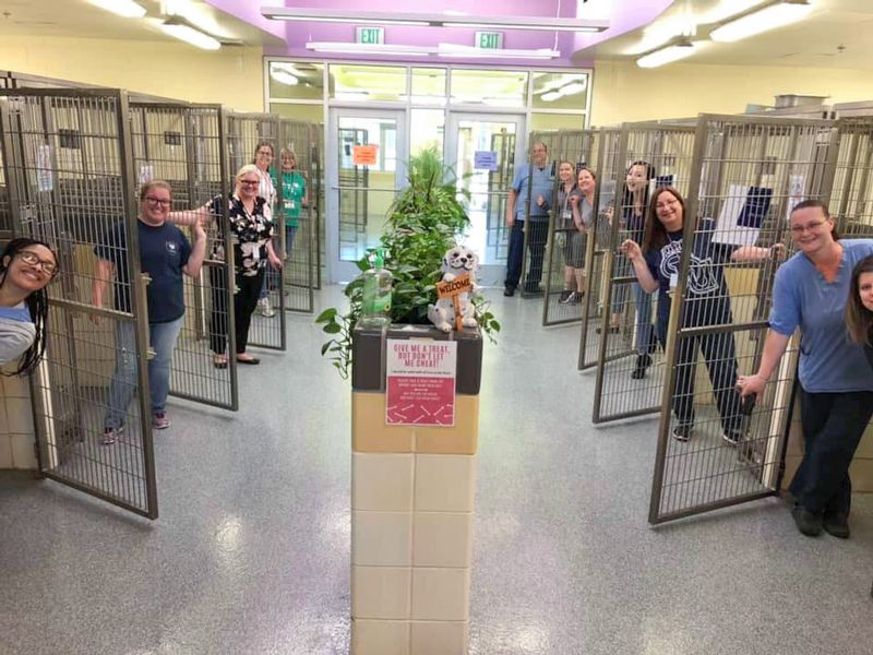 shelter staff pose in front of empty kennels