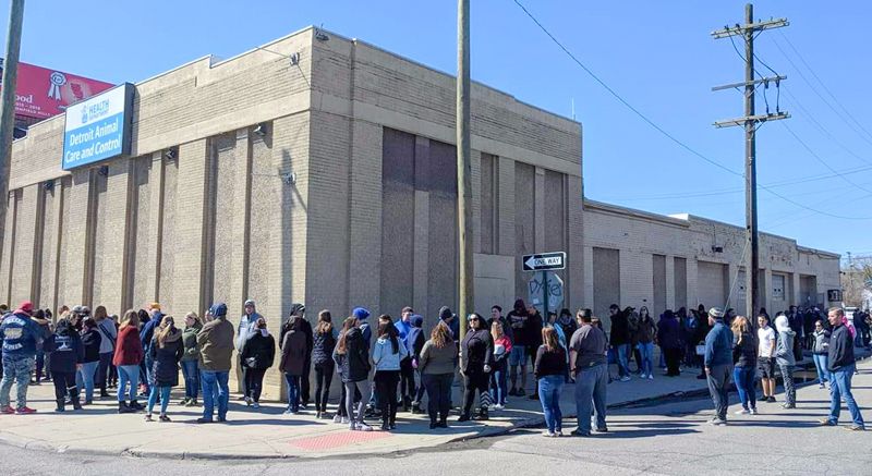 People line up for Detroit Animal Care and Control’s foster field trip program