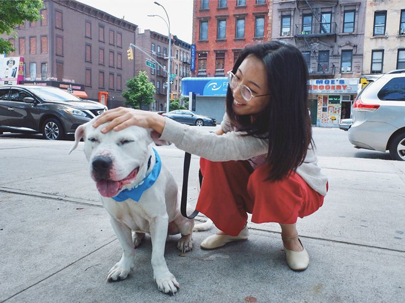 a woman pets her foster dog on the head