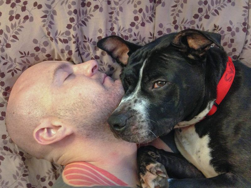 a man cuddles with his foster dog
