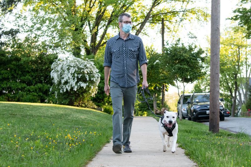 a man wearing a mask walking a dog