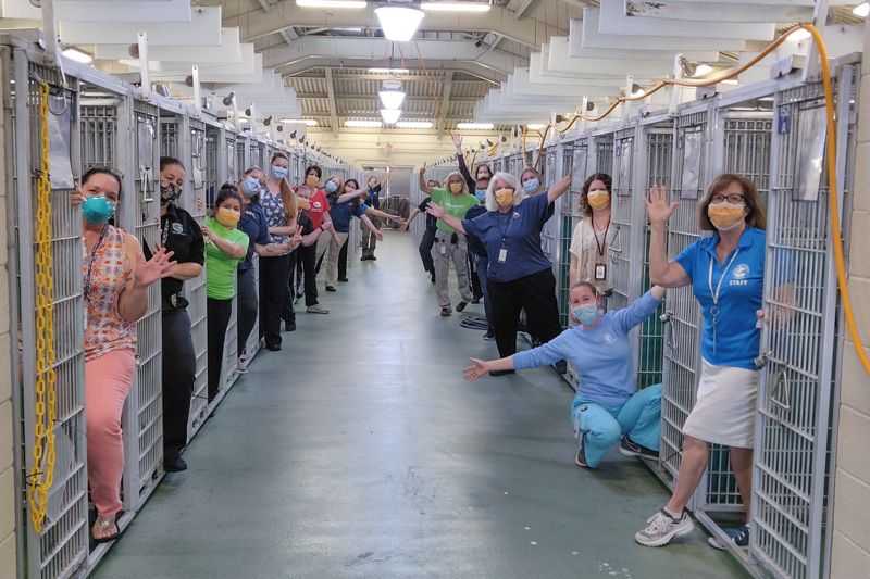 a group of people waving from empty shelter kennels