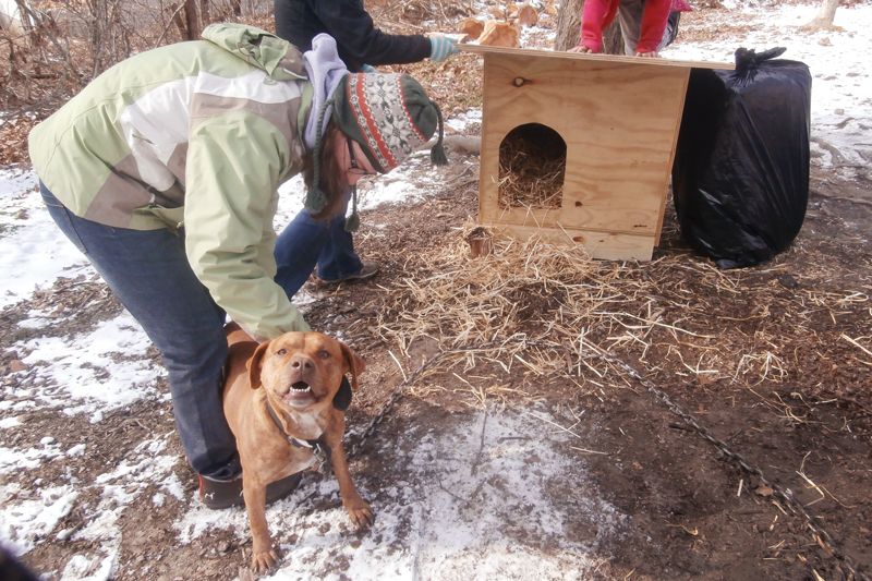 a woman holds a dog in front of a wooden dog house