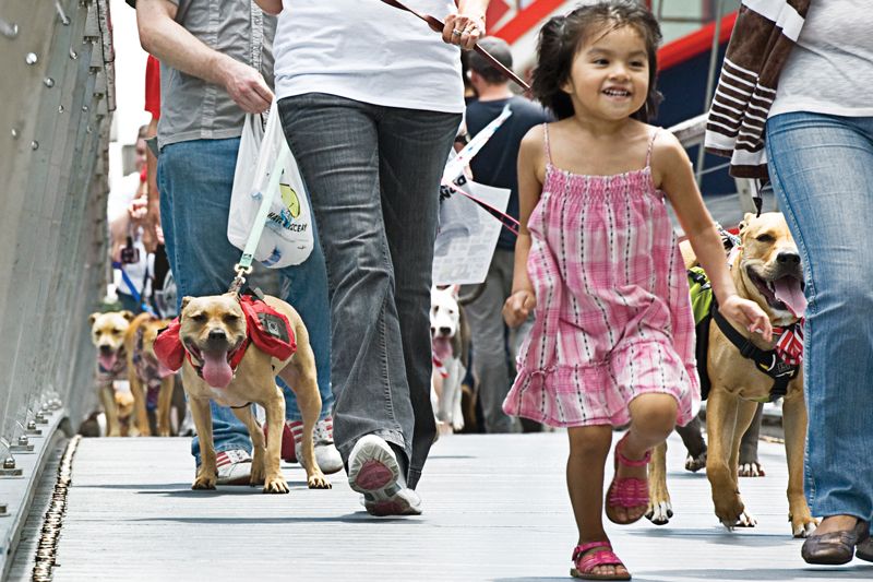 a young girls runs alongside a large group of people with dogs on leashes