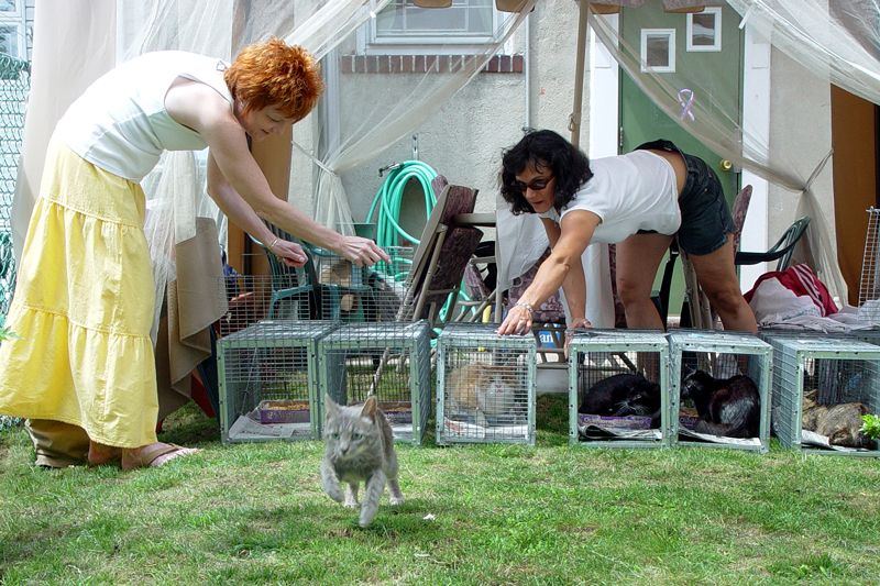 two women release cats from traps