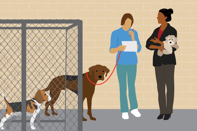 illustration of two women with dogs in a kennel