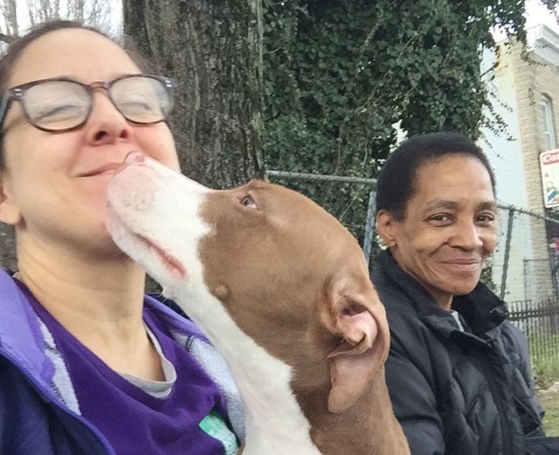 A dog licks a woman's face while another woman looks on