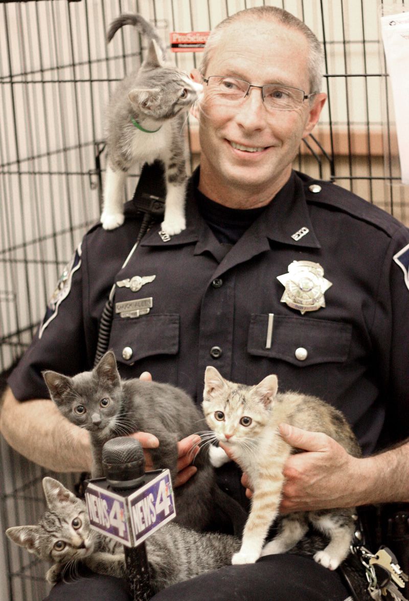 a police officer surrounded by kittens