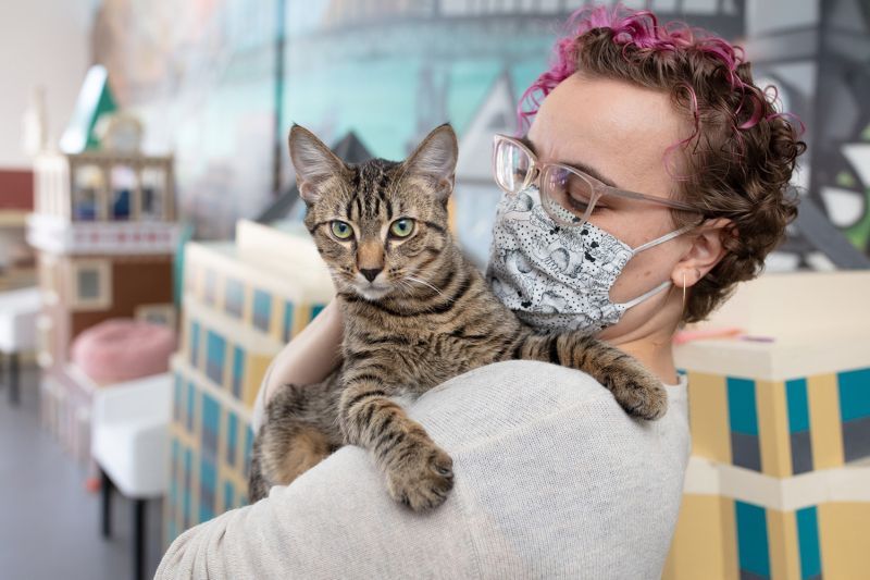 Person in mask holding a cat.