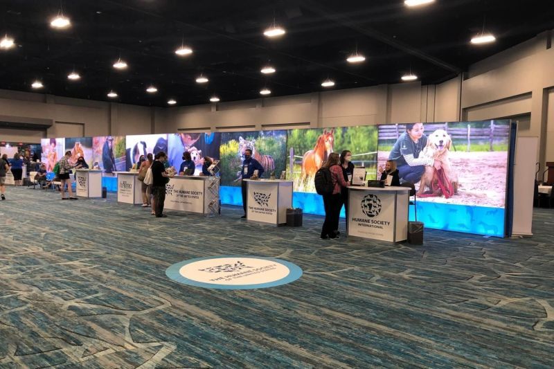 a line of HSUS booths in the exhibit hall