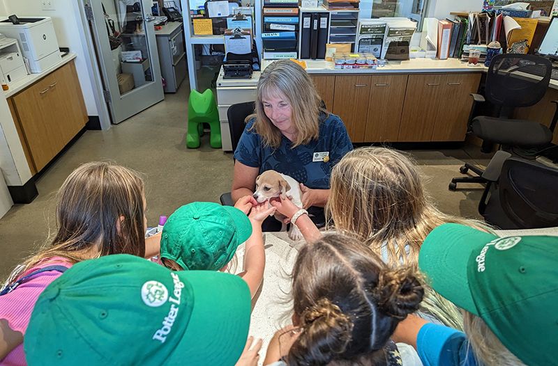 Children meet a puppy at Camp Happy Tails.