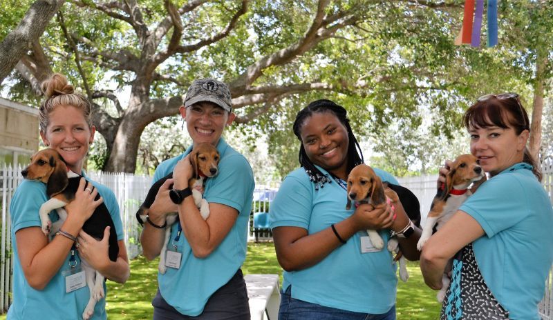 four women in matching shirts pose with puppies