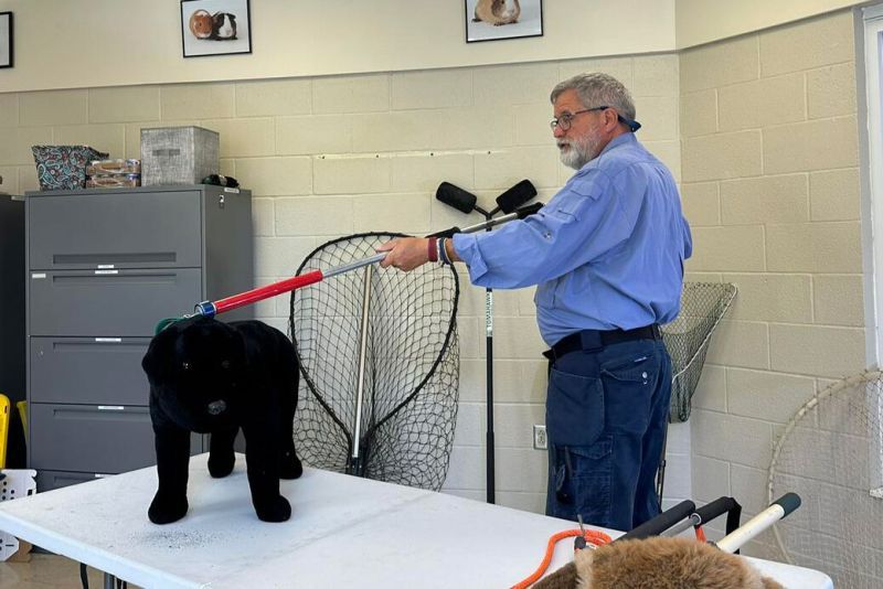 a man demonstrates how to use a control pole on a toy dog