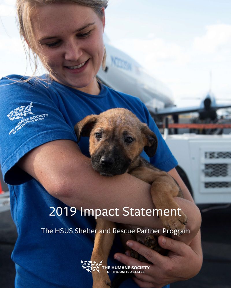 2019 Impact statement - Shelter and Rescue Partners
