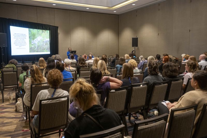 A room full of workshop attendees watching a presentation