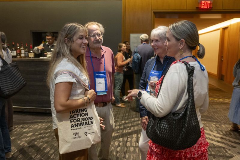 Attendees speaking together