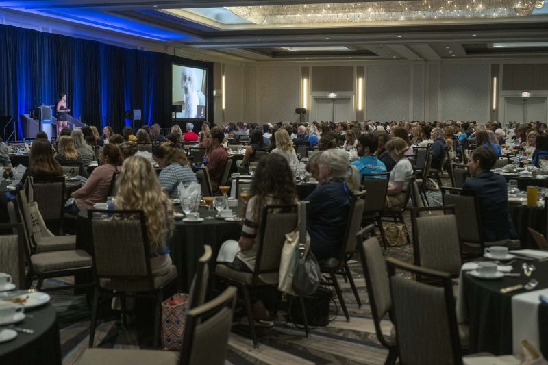 a group of people sitting at tables and watching a speaker