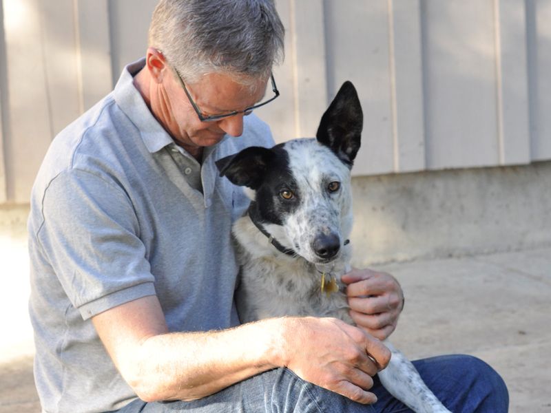 A man admiring his dog