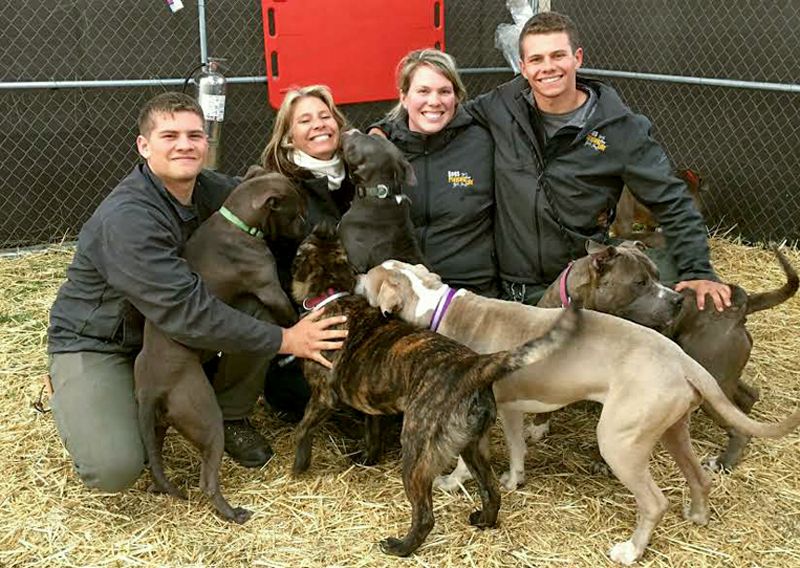 a group of shelter volunteers with dogs