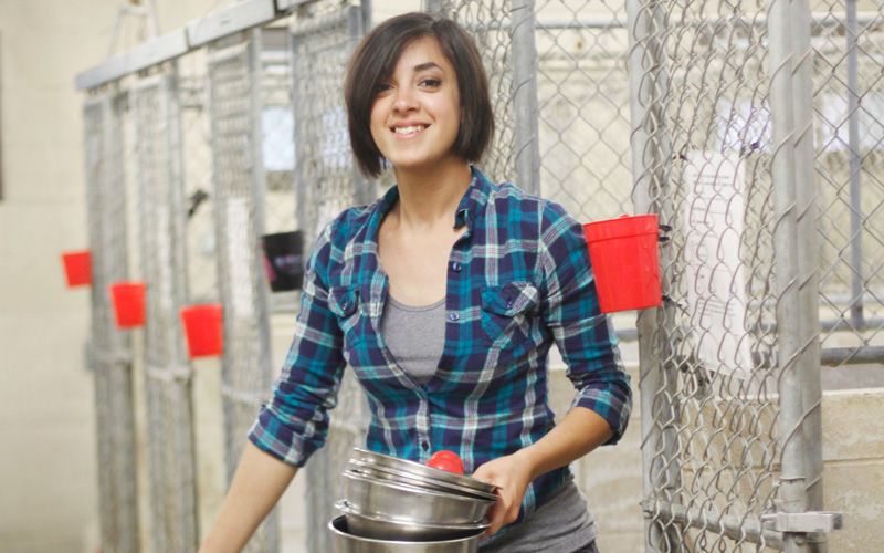 A woman holding a stack of bowls steps out of a shelter kennel