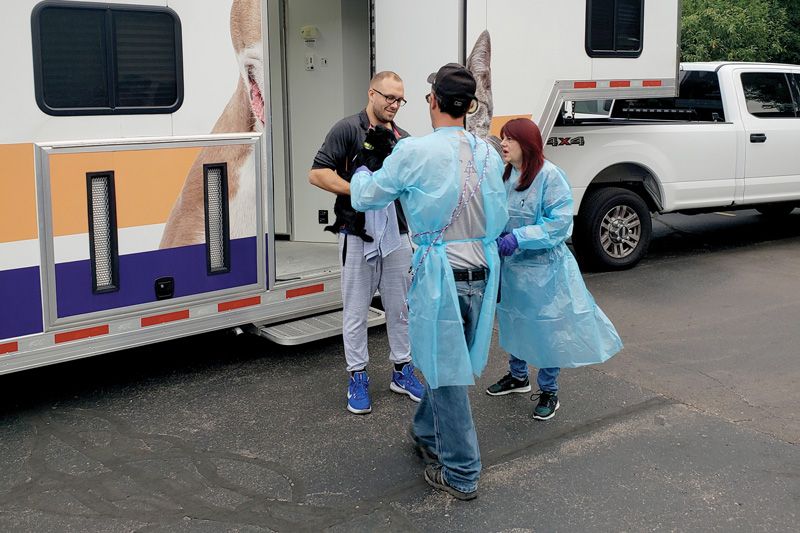 two people hand off a dog to another person waiting outside a truck