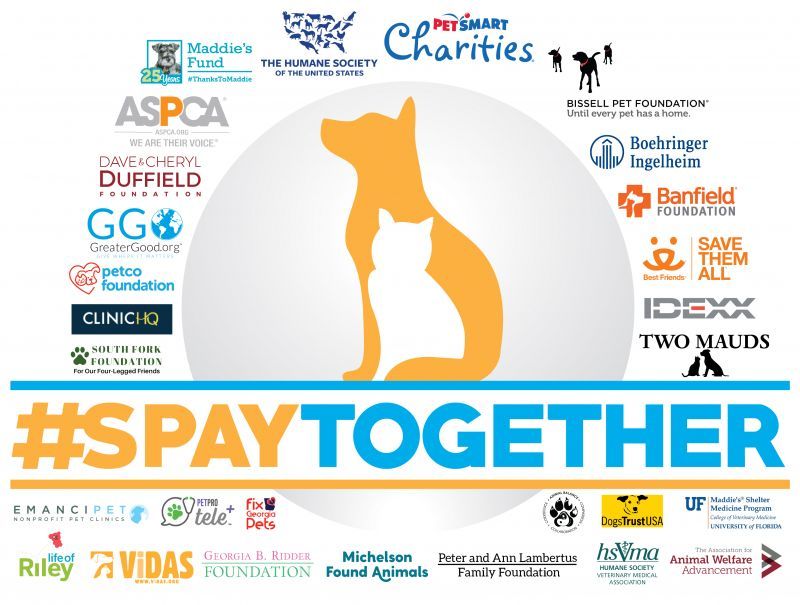 #SpayTogether logo and partners