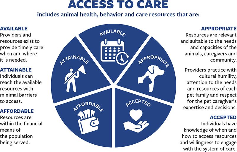 Graphic showing the 5 components to Access to Care: Available, Attainable, Appropriate, Affordable, and Accepted.