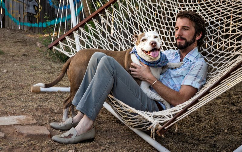 a man relaxes on a hammock with his foster dog