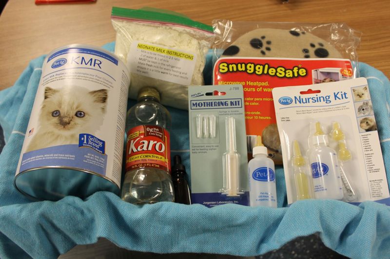 a basket containing kitten care items, such as formula, bottles, and a heating pad
