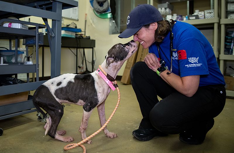 Dr. Gonzales getting kisses from a dog.