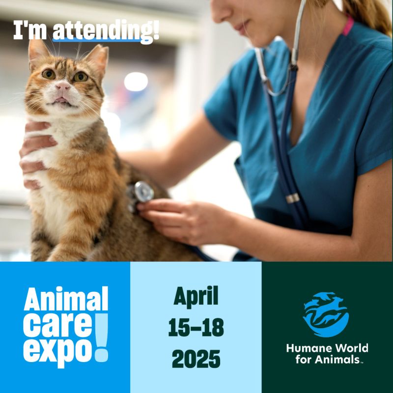 Veterinarian and a cat sharegraphic for Expo