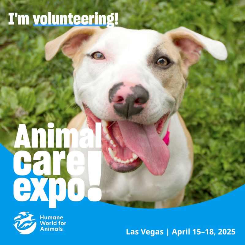 Dog sharegraphic to volunteer at Expo