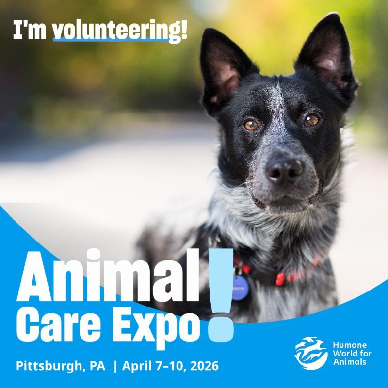 I'm volunteering at Animal Care Expo 2026