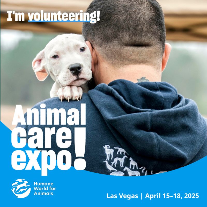 Person holding a dog sharegraphic to volunteer at Expo