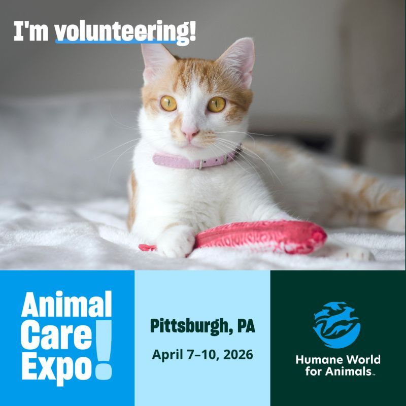 I'm volunteering at Animal Care Expo 2026