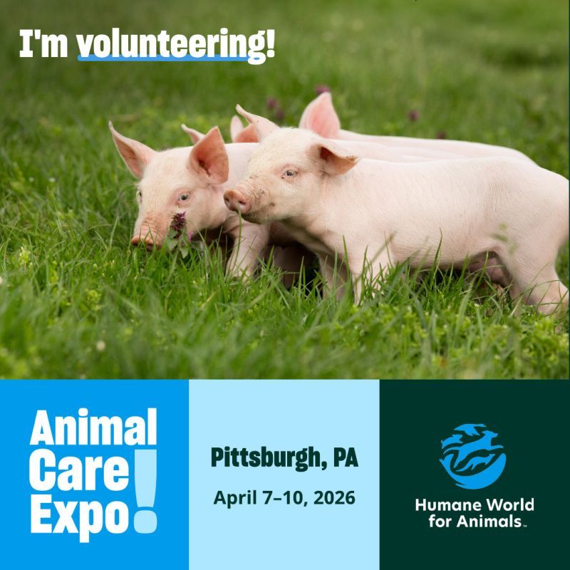 I'm volunteering at Animal Care Expo 2026