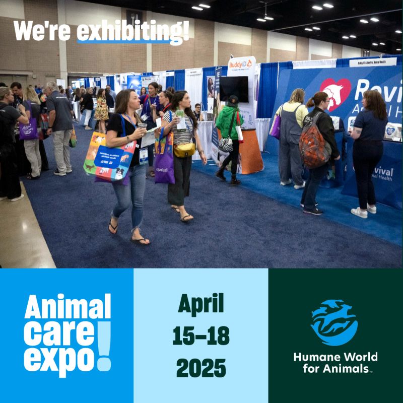 Exhibit hall sharegraphic for exhibiting at Expo