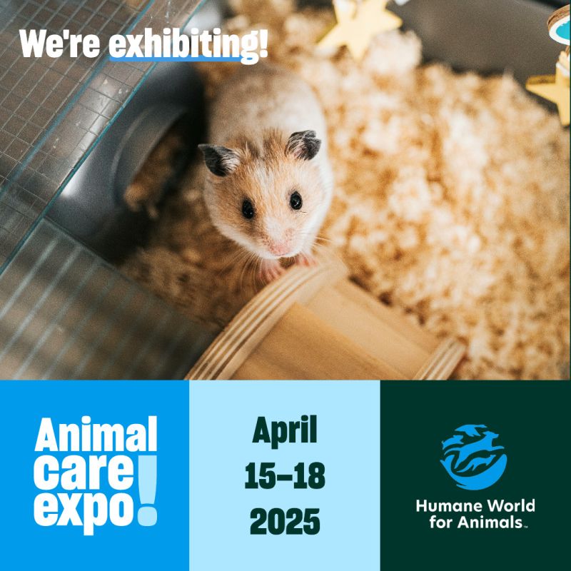 Hamster sharegraphic for exhibiting at Expo