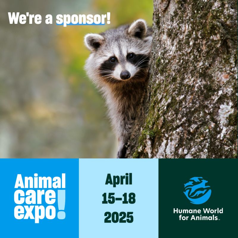 Raccoon sharegraphic for sponsoring at Expo