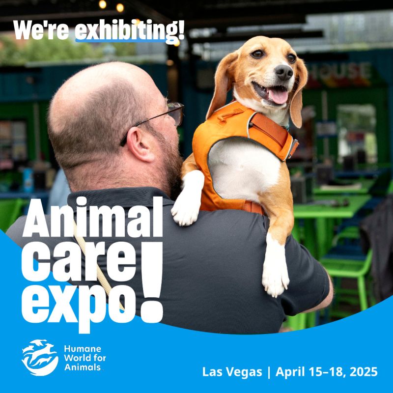 Man holding dog sharegraphic for exhibiting at Expo