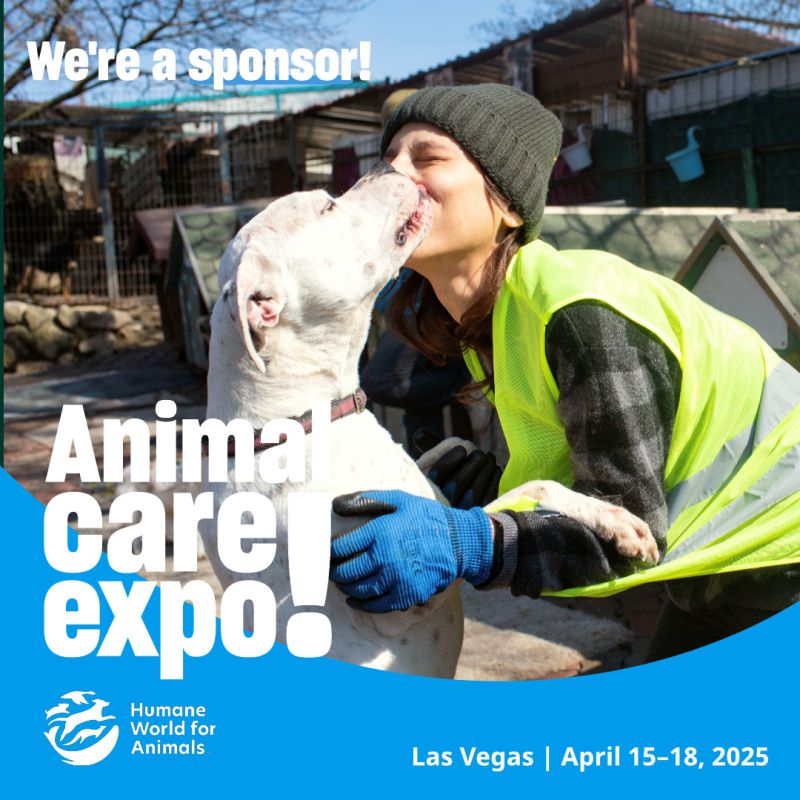 Dog and volunteer sharegraphic for sponsoring Expo