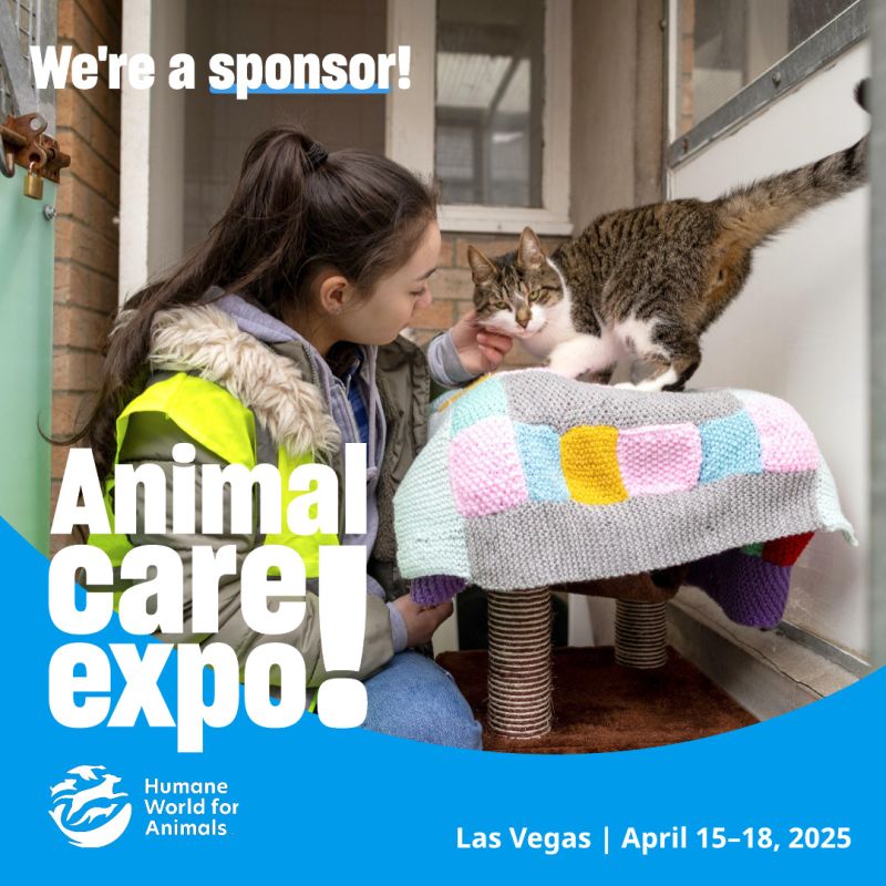 Volunteer and cat sharegraphic for sponsoring Expo