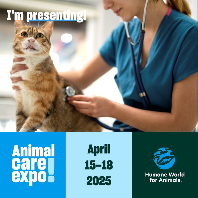 Cat and veterinarian sharegraphic for presenting at Expo