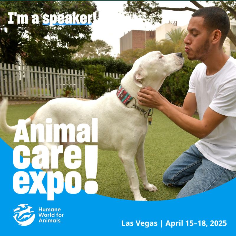 Dog with a man sharegraphic for being a speaker at Expo