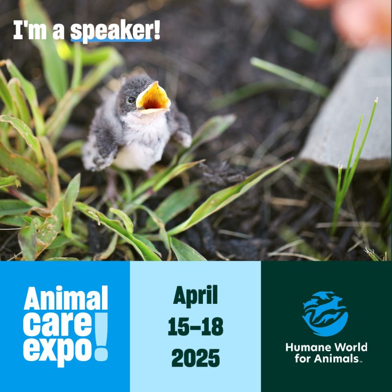 Bird sharegraphic for being a speaker at Expo