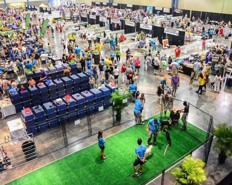 a large crowd gathered at an adoption event