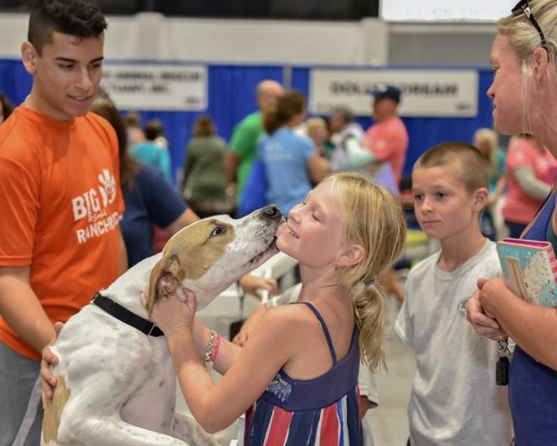 a girl is licked by a dog while her family looks on